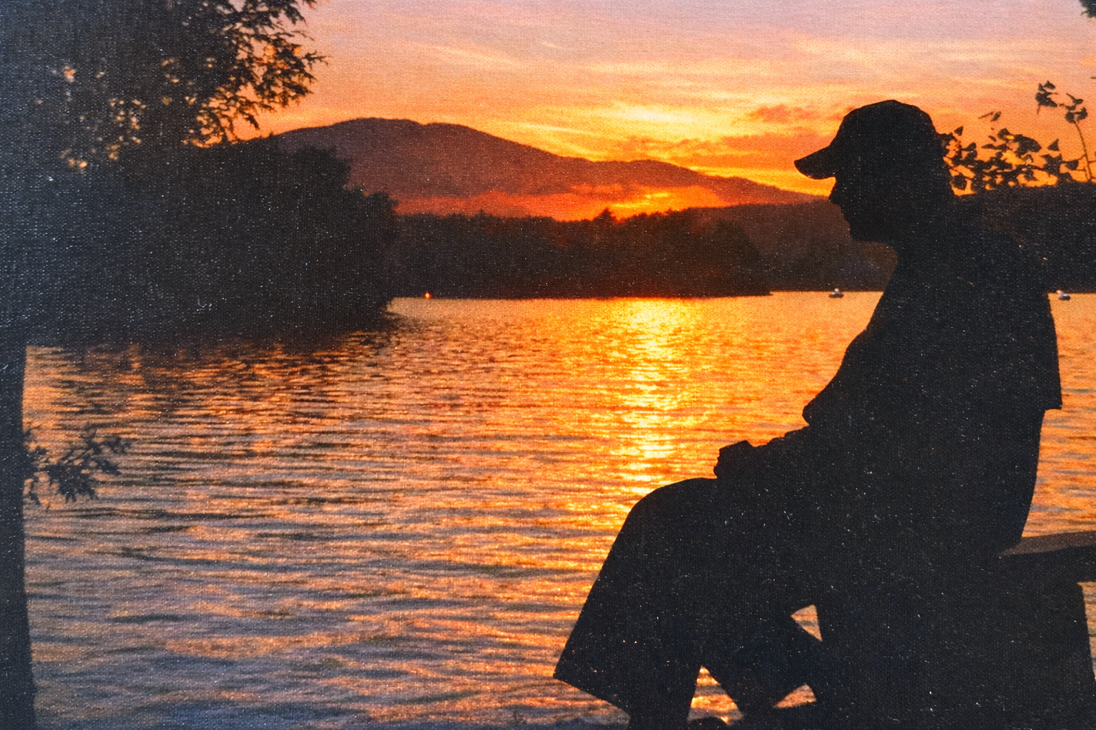 Sunset silhouette by the lake